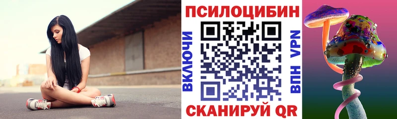 Псилоцибиновые грибы мицелий  кракен зеркало  Курлово 
